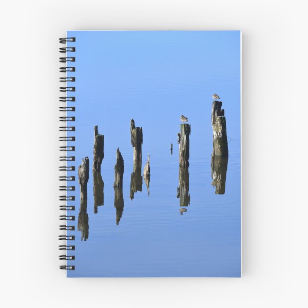 Item preview, Ducks on the old Dock designed and sold by photosbymia.