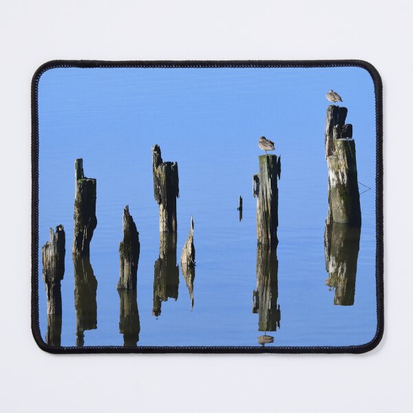 Item preview, Ducks on the old Dock designed and sold by photosbymia.