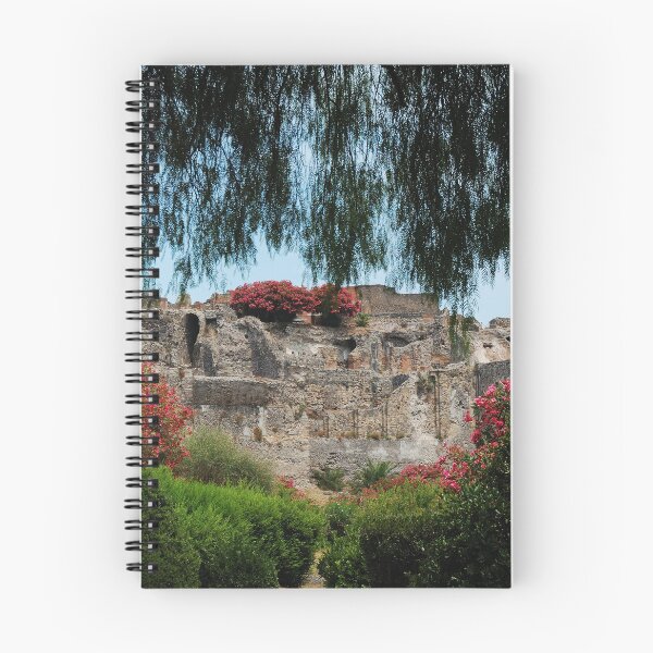Item preview, Ancient Ruins Framed by Mediterranean Garden designed and sold by onubi.