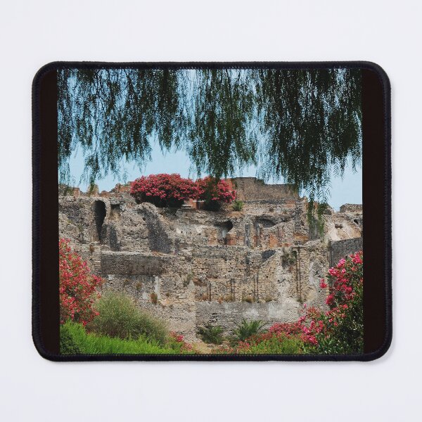 Item preview, Ancient Ruins Framed by Mediterranean Garden designed and sold by onubi.