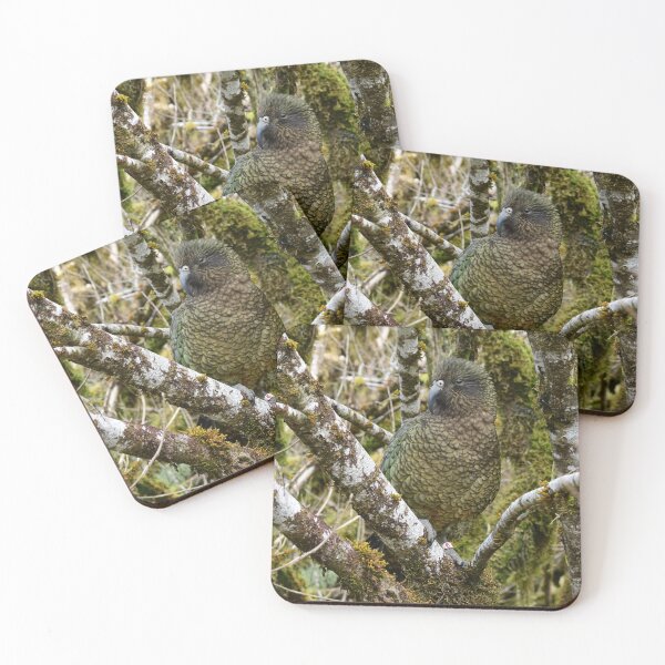 Item preview, Kea-flage  designed and sold by photosbymia.