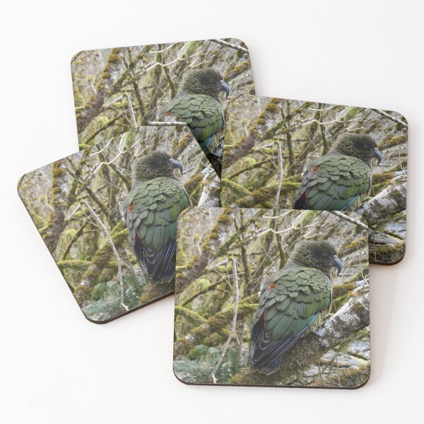 Item preview, Kea in a Tree designed and sold by photosbymia.