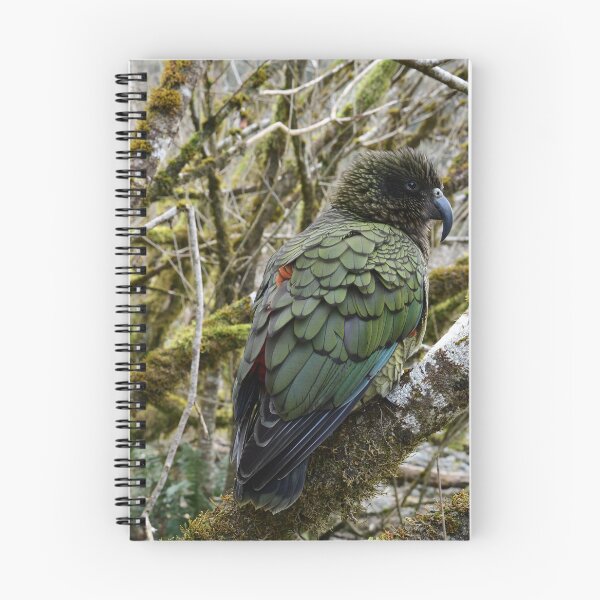 Item preview, Kea in a Tree designed and sold by photosbymia.