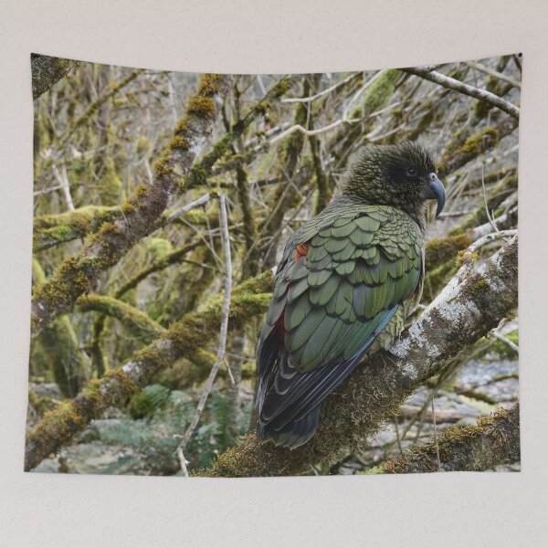 Item preview, Kea in a Tree designed and sold by photosbymia.