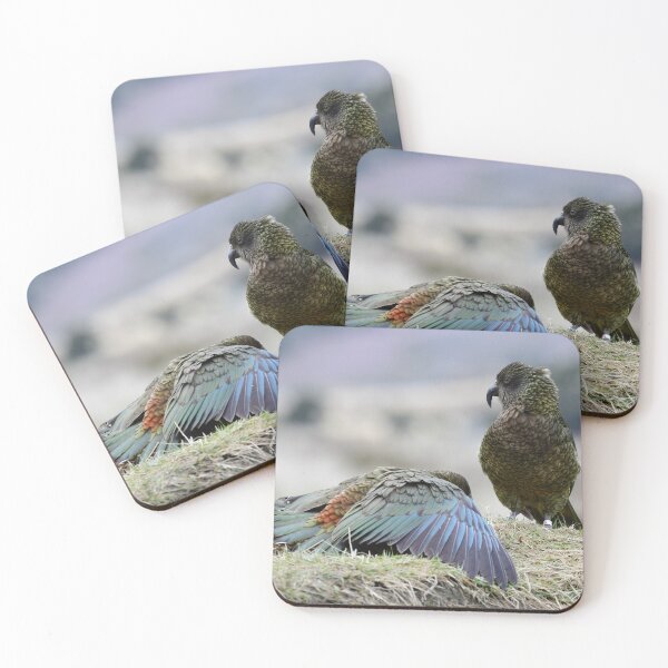 Item preview, The Kea almighty designed and sold by photosbymia.