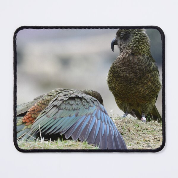 Item preview, The Kea almighty designed and sold by photosbymia.