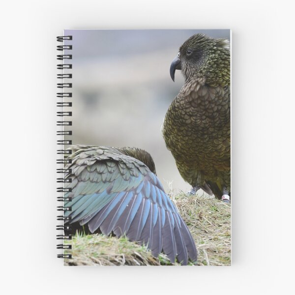 Item preview, The Kea almighty designed and sold by photosbymia.