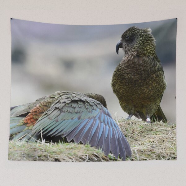 Item preview, The Kea almighty designed and sold by photosbymia.