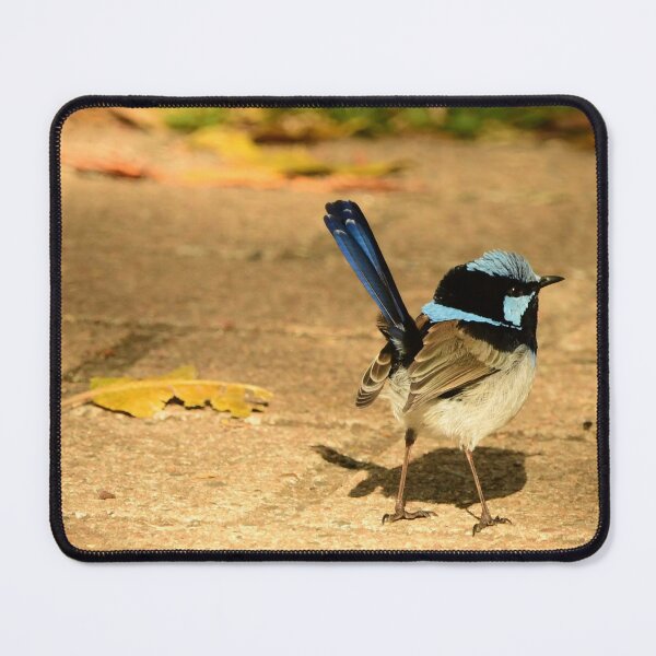 Item preview, Little Fairy Wren designed and sold by photosbymia.