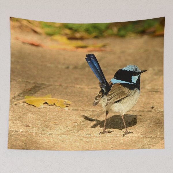 Item preview, Little Fairy Wren designed and sold by photosbymia.