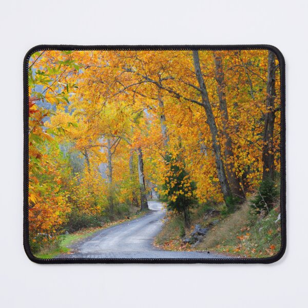 Item preview, Golden Autumn Road Through Forest designed and sold by onubi.