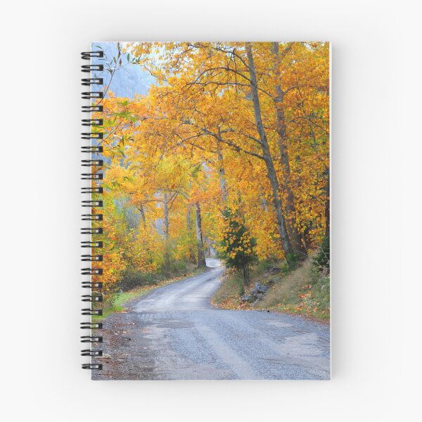 Item preview, Golden Autumn Road Through Forest designed and sold by onubi.