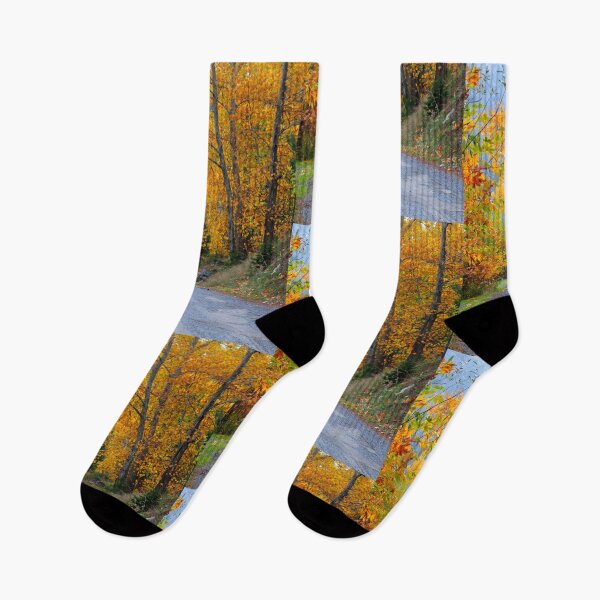 Item preview, Golden Autumn Road Through Forest designed and sold by onubi.