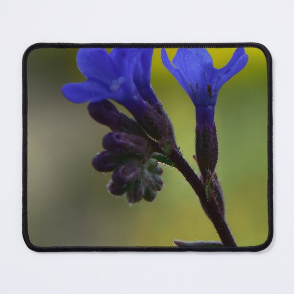 Item preview, Blue Wildflower Macro in Soft Light designed and sold by onubi.