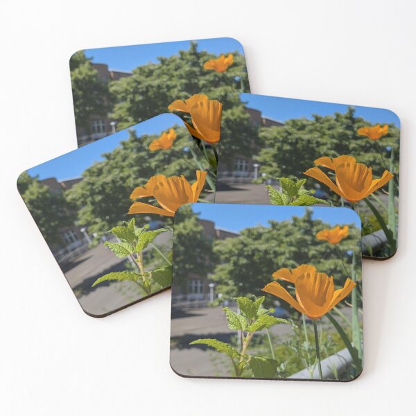 Item preview, Bright poppies in the urban summer designed and sold by kramikramframes.