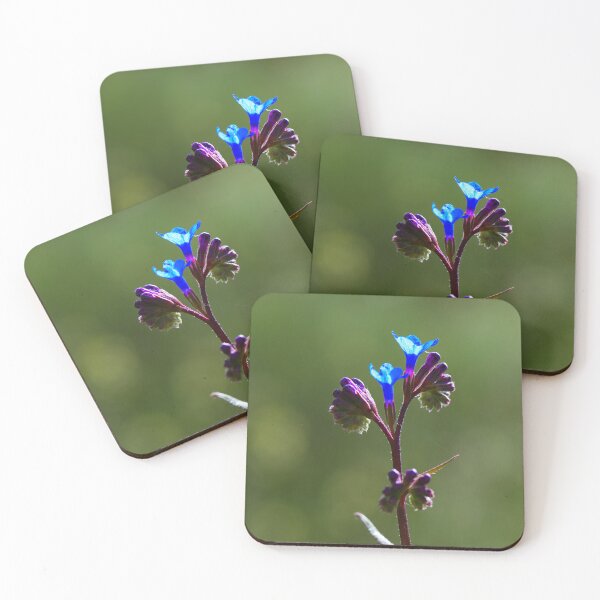 Item preview, Delicate Blue Wildflower in Morning Light designed and sold by onubi.