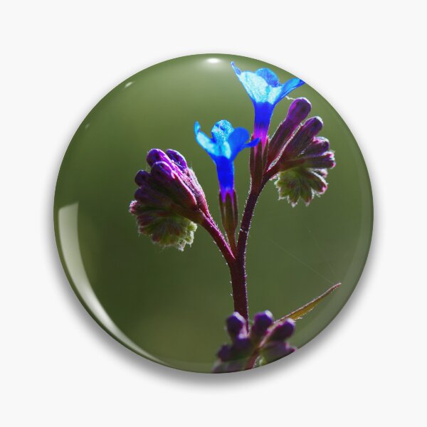 Item preview, Delicate Blue Wildflower in Morning Light designed and sold by onubi.
