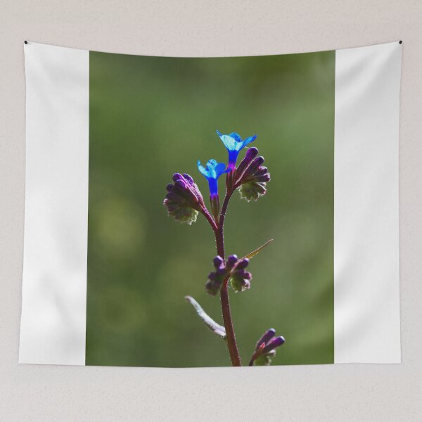 Item preview, Delicate Blue Wildflower in Morning Light designed and sold by onubi.
