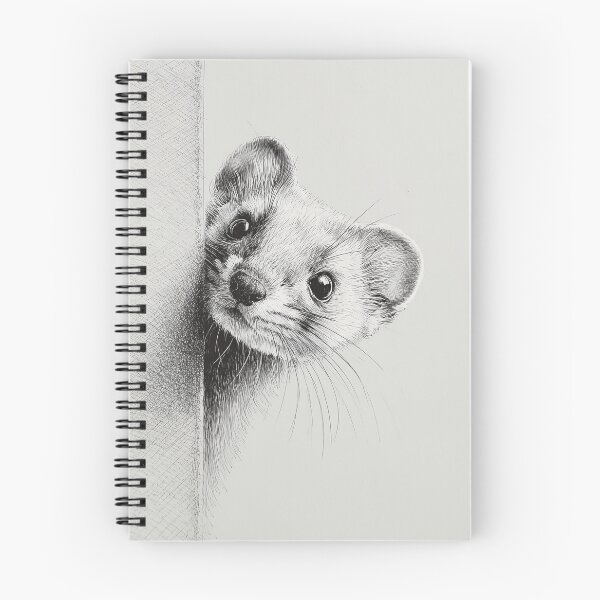 Item preview, Curious Ermine Peeking designed and sold by lautir.
