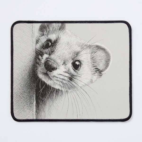 Item preview, Curious Ermine Peeking designed and sold by lautir.