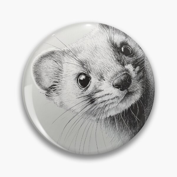 Item preview, Curious Peeking Ermine designed and sold by lautir.