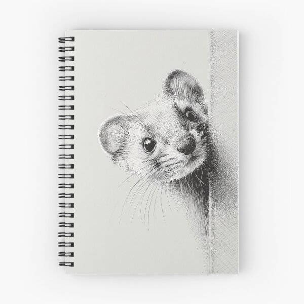 Item preview, Curious Peeking Ermine designed and sold by lautir.
