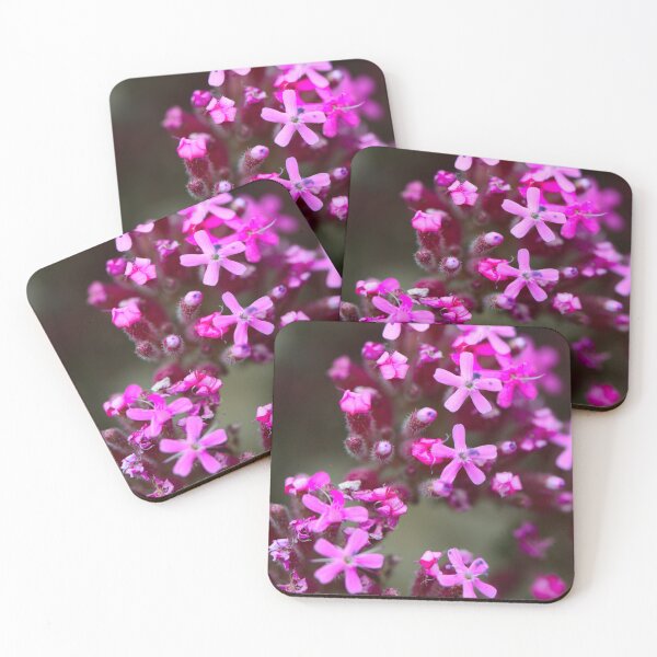 Item preview, Pink Wildflower Macro in Bloom designed and sold by onubi.