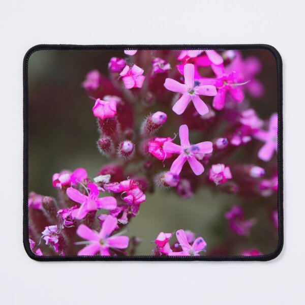 Item preview, Pink Wildflower Macro in Bloom designed and sold by onubi.