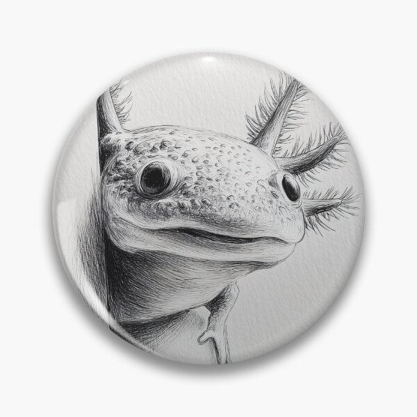 Artikelvorschau, Neugieriger Axolotl späht entworfen und verkauft von lautir.