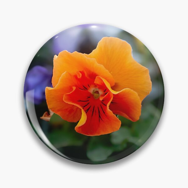 Item preview, Pansies flowers blooming in the flowerbed  designed and sold by Enerjetal.