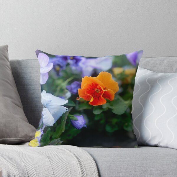 Item preview, Pansies flowers blooming in the flowerbed  designed and sold by Enerjetal.