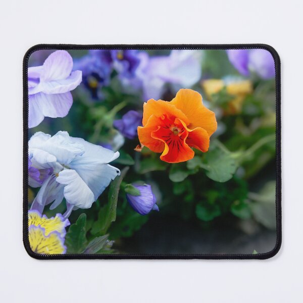 Item preview, Pansies flowers blooming in the flowerbed designed and sold by Enerjetal.