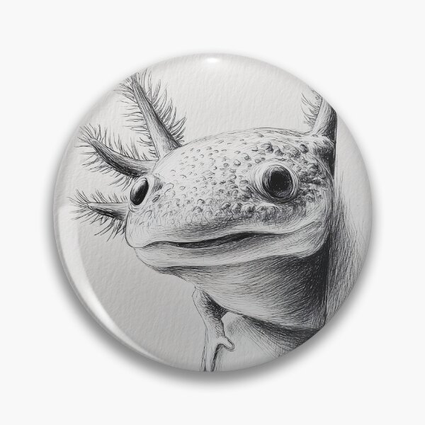 Item preview, Curious Peeking Axolotl designed and sold by lautir.