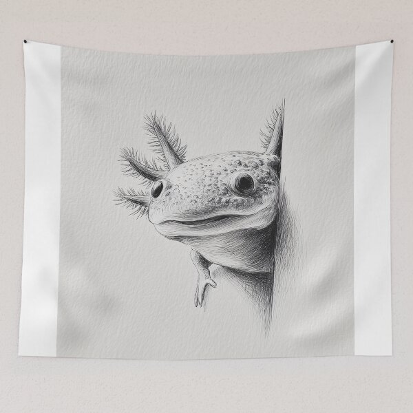 Item preview, Curious Peeking Axolotl designed and sold by lautir.