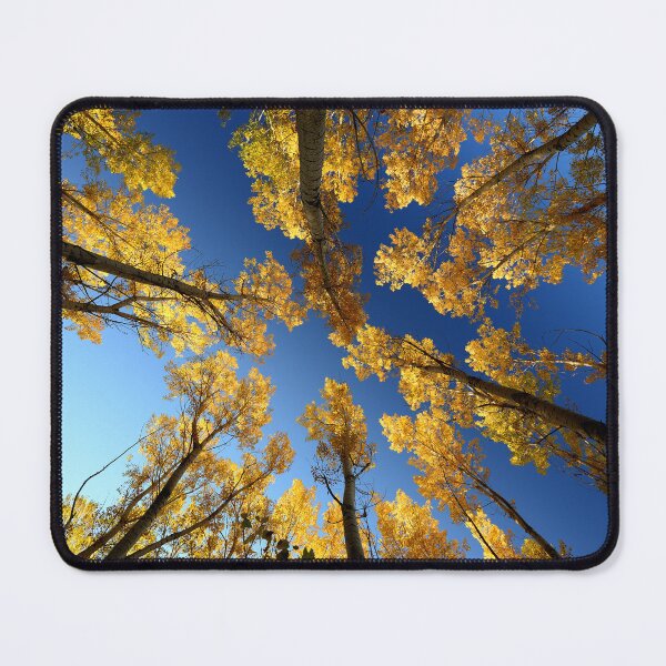 Item preview, Golden Aspen Canopy Against Blue Sky designed and sold by onubi.