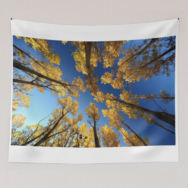 Item preview, Golden Aspen Canopy Against Blue Sky designed and sold by onubi.