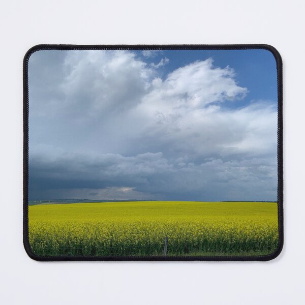 Item preview, Canola Fields  designed and sold by Moss-Mandalas.