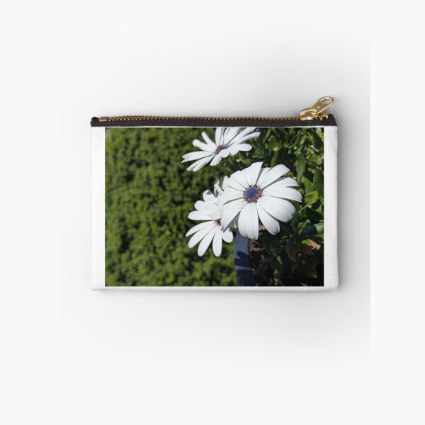 Item preview, Cape basket with a soft background designed and sold by kramikramframes.