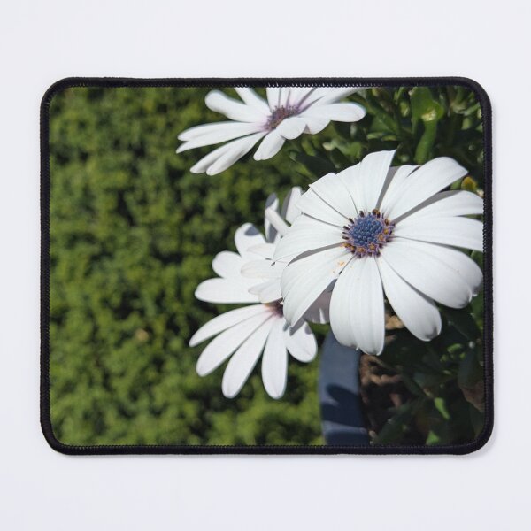 Item preview, Cape basket with a soft background designed and sold by kramikramframes.