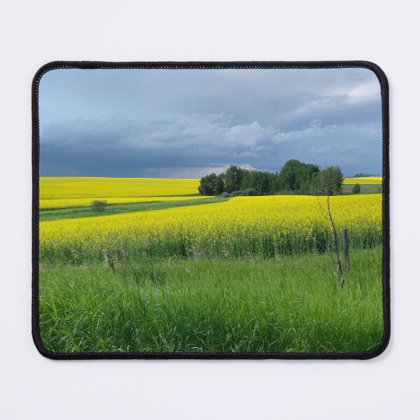 Item preview, Canola Fields 2 designed and sold by Moss-Mandalas.
