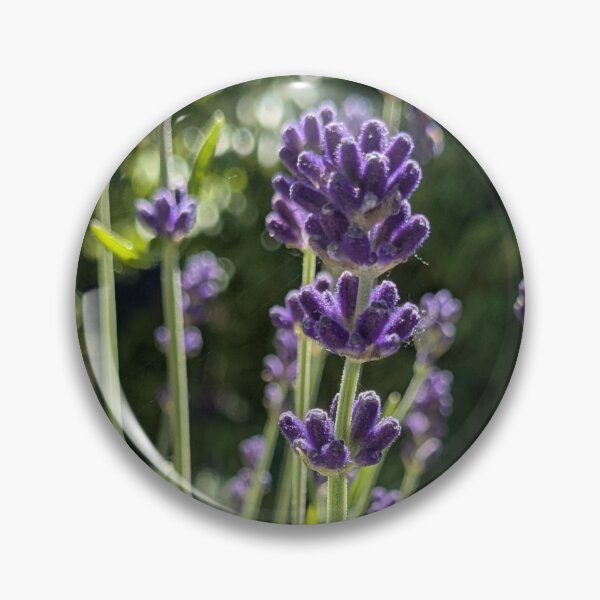 Item preview, Lavender on the balcony designed and sold by kramikramframes.