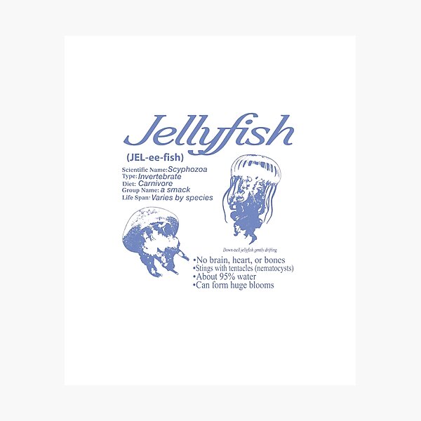 Item preview, Jellyfish Marine Biology Science Art designed and sold by Colorful-Garden.