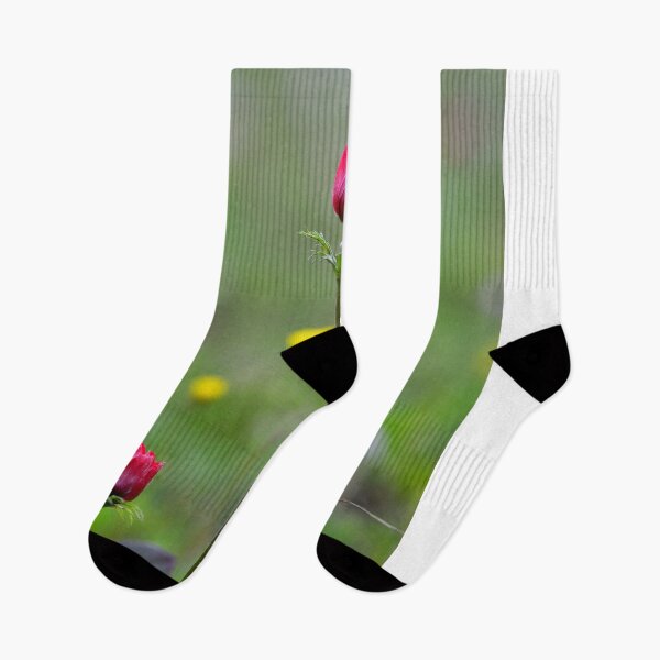 Item preview, Scarlet Wildflower in Spring Meadow designed and sold by onubi.
