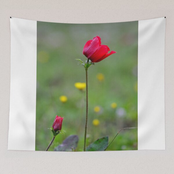 Item preview, Scarlet Wildflower in Spring Meadow designed and sold by onubi.