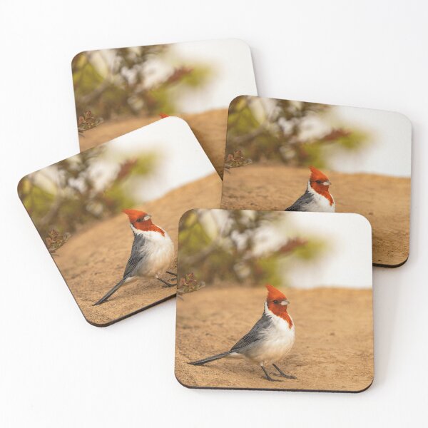 Item preview, Red-Crested Cardinal Bird Watching Nature Lover Wildlife designed and sold by KadababB87.