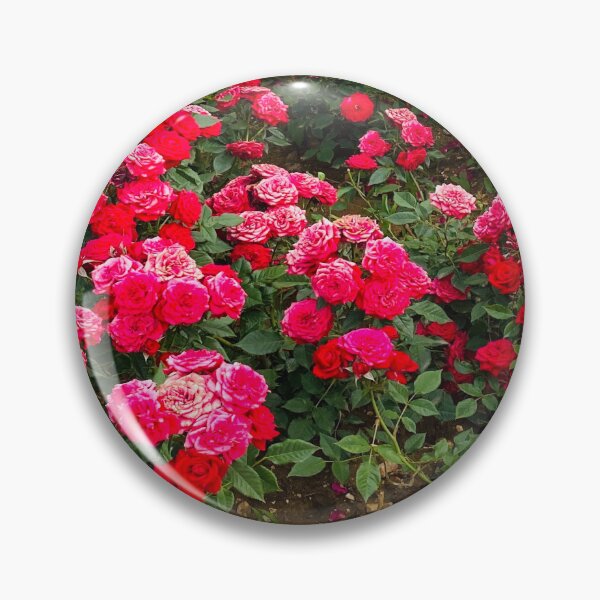 Item preview, Abundant Crimson Red and Pink Rose Garden Field designed and sold by BalkanBloom.