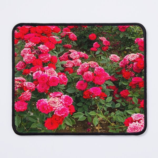 Item preview, Abundant Crimson Red and Pink Rose Garden Field designed and sold by BalkanBloom.