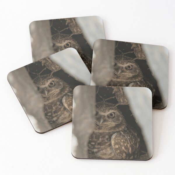 Item preview, Burrowing Owl Wildlife Nature Bird Watching Animal Lover designed and sold by KadababB87.