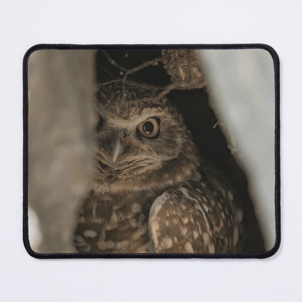 Item preview, Burrowing Owl Wildlife Nature Bird Watching Animal Lover designed and sold by KadababB87.