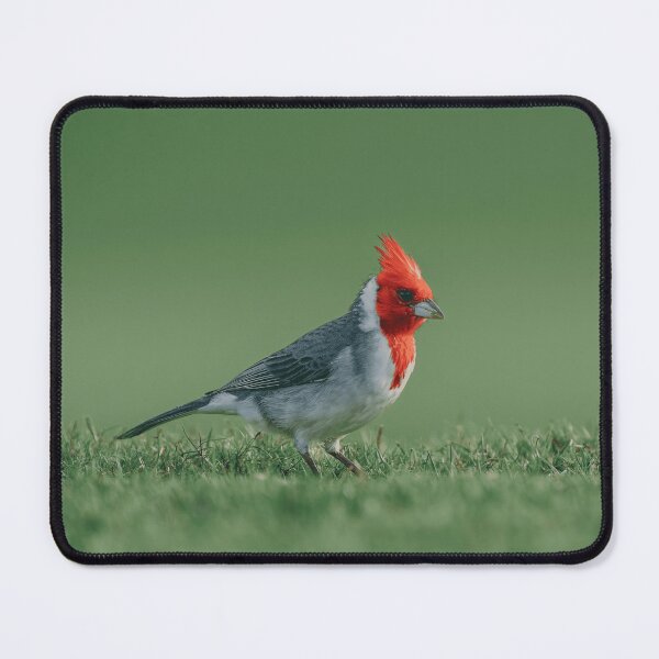 Item preview, Red Crested Cardinal Hawaiian Bird Nature Lover designed and sold by KadababB87.